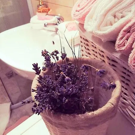 Apartament Roza V Tsentre Heviza Appartamento Hévíz